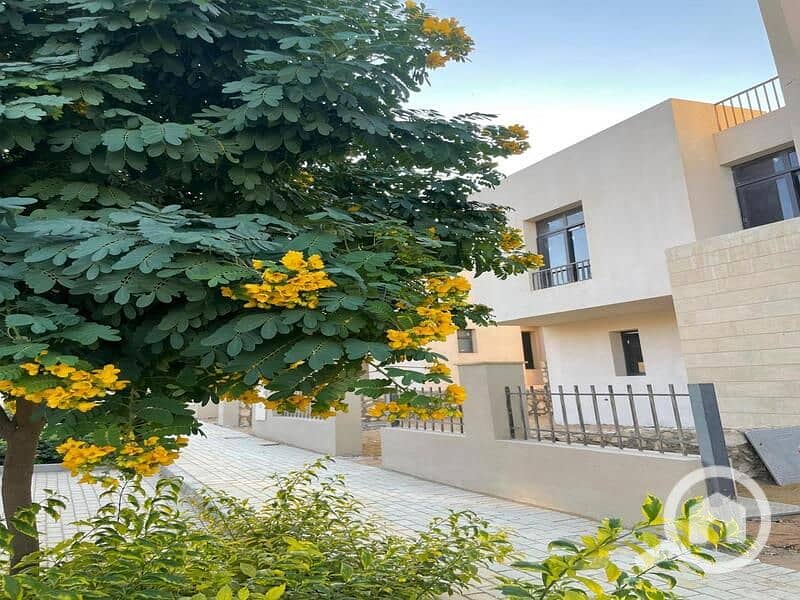 5 IMG-20250320-WA0087. jpg