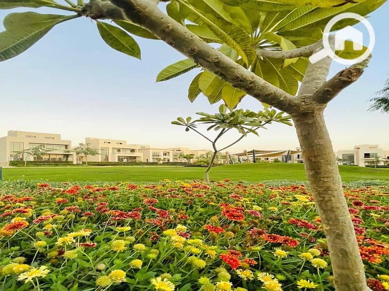 7 IMG-20250320-WA0085. jpg