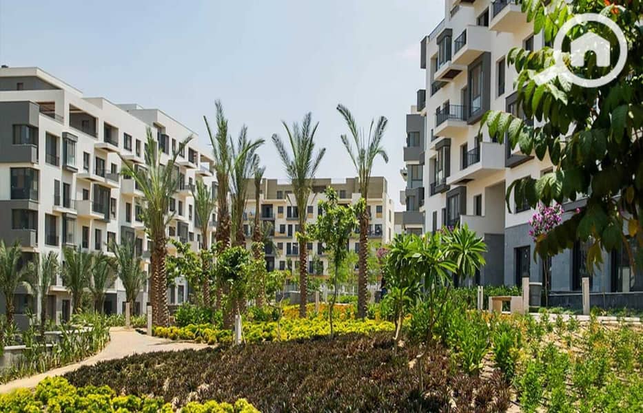 7 08481316-85c0-4e94-8c02-8a899c84a64d. jpg