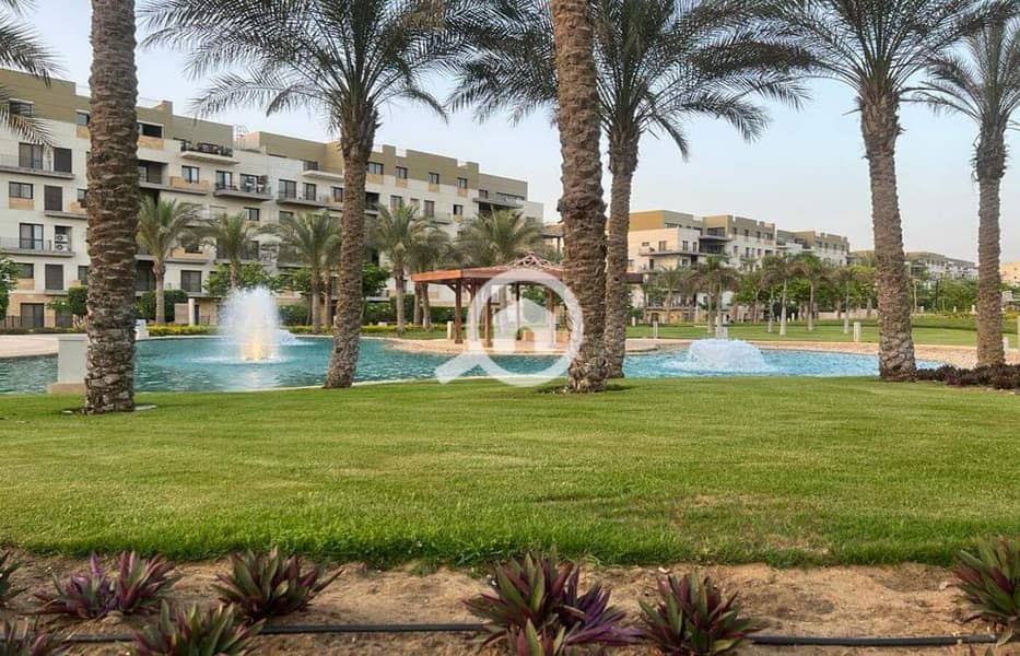 11 f3655862-15f9-4b22-b50f-4b688d36ace6. jpg