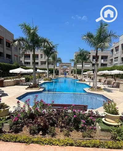 شقة 2 غرفة نوم للايجار في كينج مريوط، الإسكندرية - 3487a413-83b4-489a-ab67-38ae173fe48b. jpg شقة 2 غرفة نوم للايجار في كينج مريوط، الإسكندرية - 3487a413-83b4-489a-ab67-38ae173fe48b. jpg