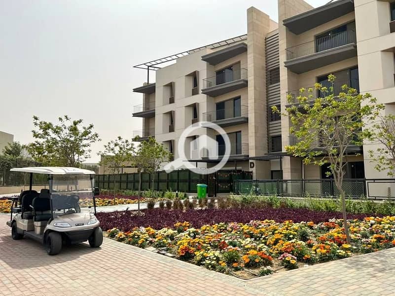 8 530410885_24403081139311369_6318694103539848996_n. jpg