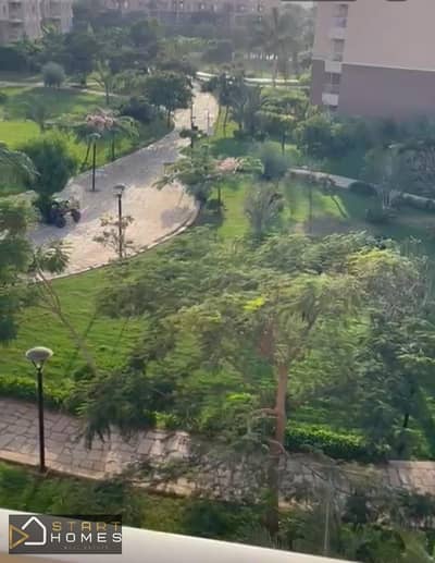 3 Bedroom Flat for Sale in Madinaty, Cairo - WhatsApp Image 2025-12-01 at 2.26. 25 PM (1). jpeg