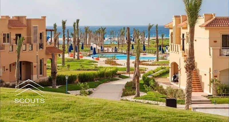 7 26463702-800x600. png