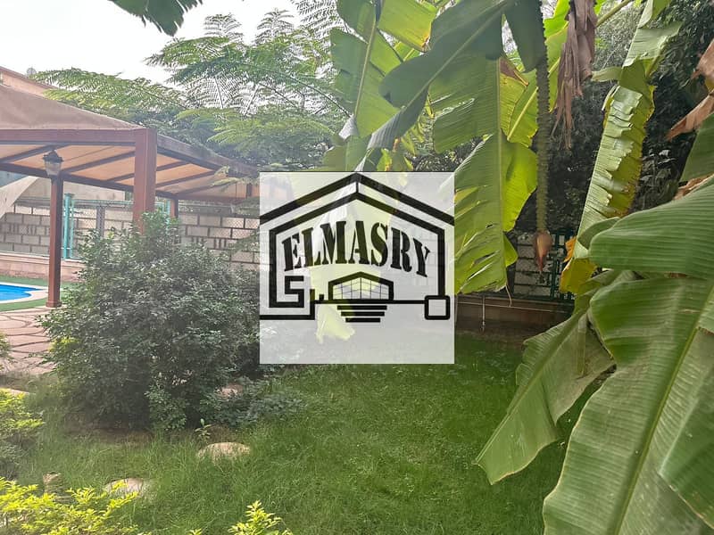 10 55e6a9ab-d4a0-47d3-aff1-843047a01786. jpeg