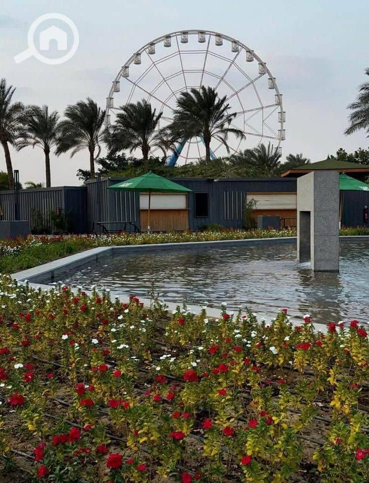 10 545509586_4033221186898466_8612819644281338244_n. jpg