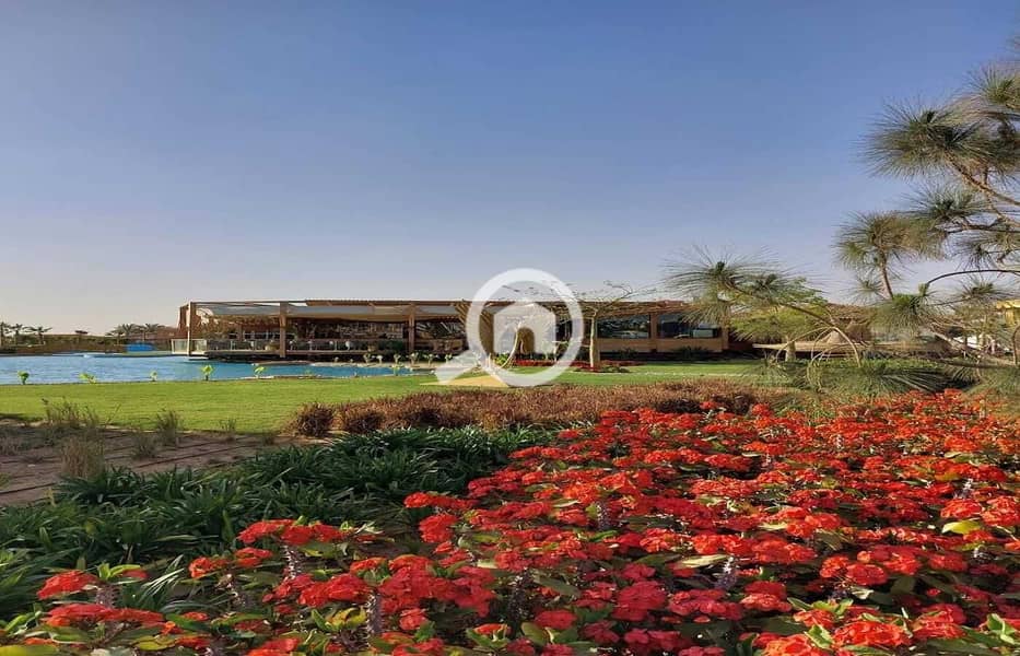 3 b33e5617-8f0b-4bd2-a403-7bf3c517fc24. jpg