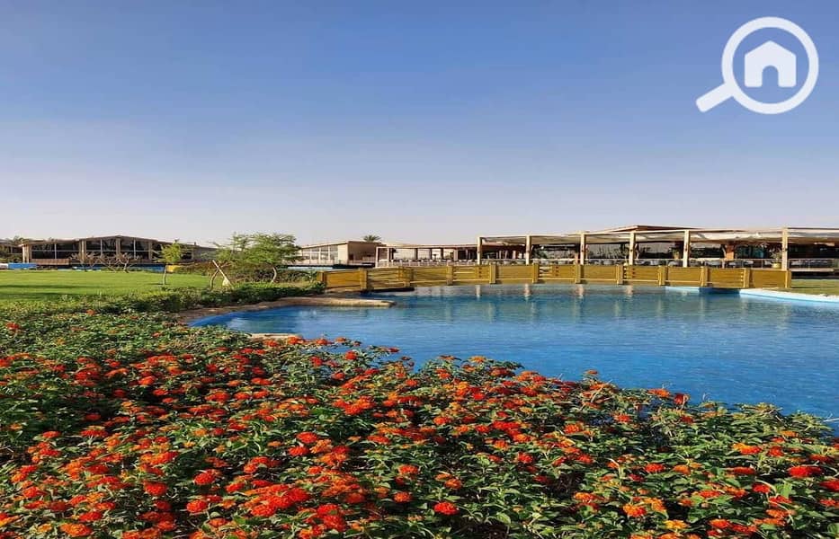 4 4c85066e-1e8e-44c2-ba34-42dcd72aad5b. jpg