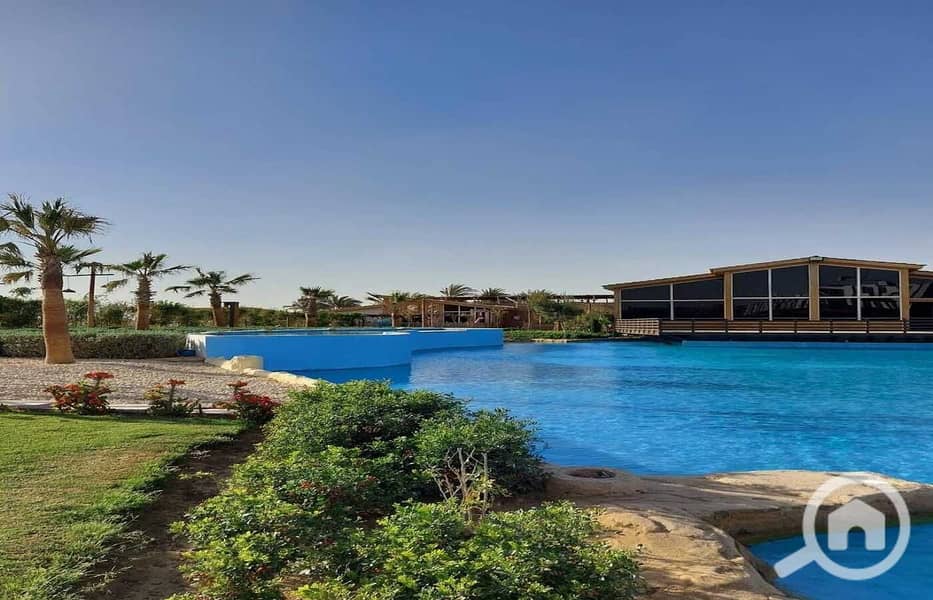 7 9668fcfb-8a0f-4aba-b00c-944b64f2f1d7. jpg