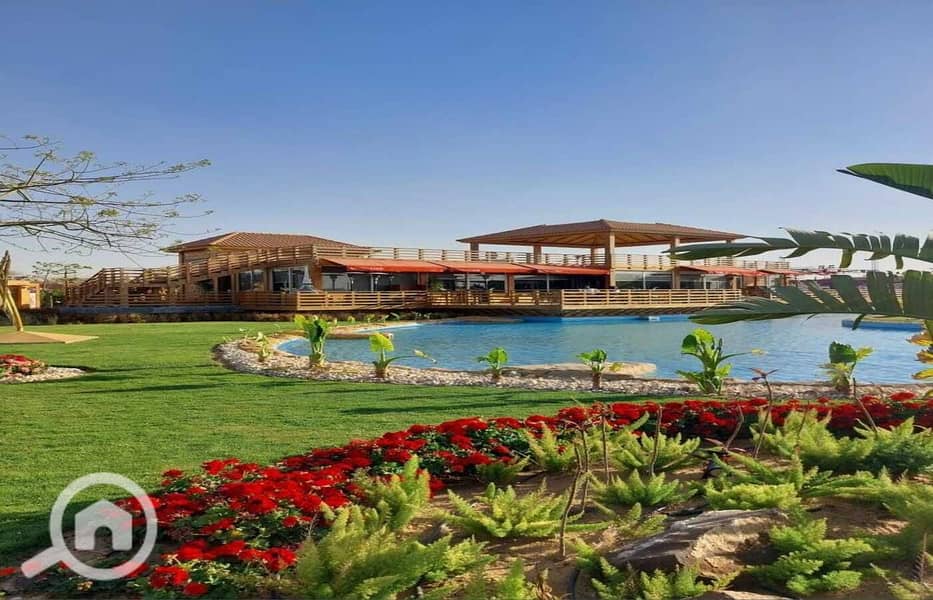 11 dc4f24dd-12cd-4f55-abaa-078a5e699a1c. jpg