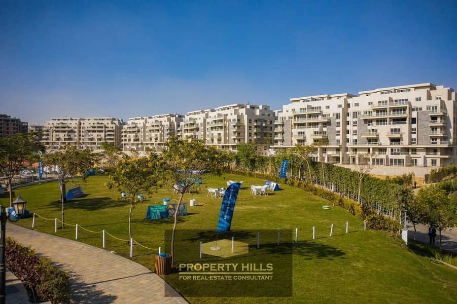 6 WhatsApp Image 2024-11-13 at 5.31. 42 PM (1). jpeg