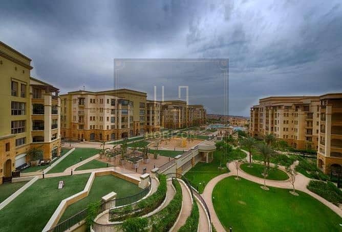 10 7991525-580cco. jpg