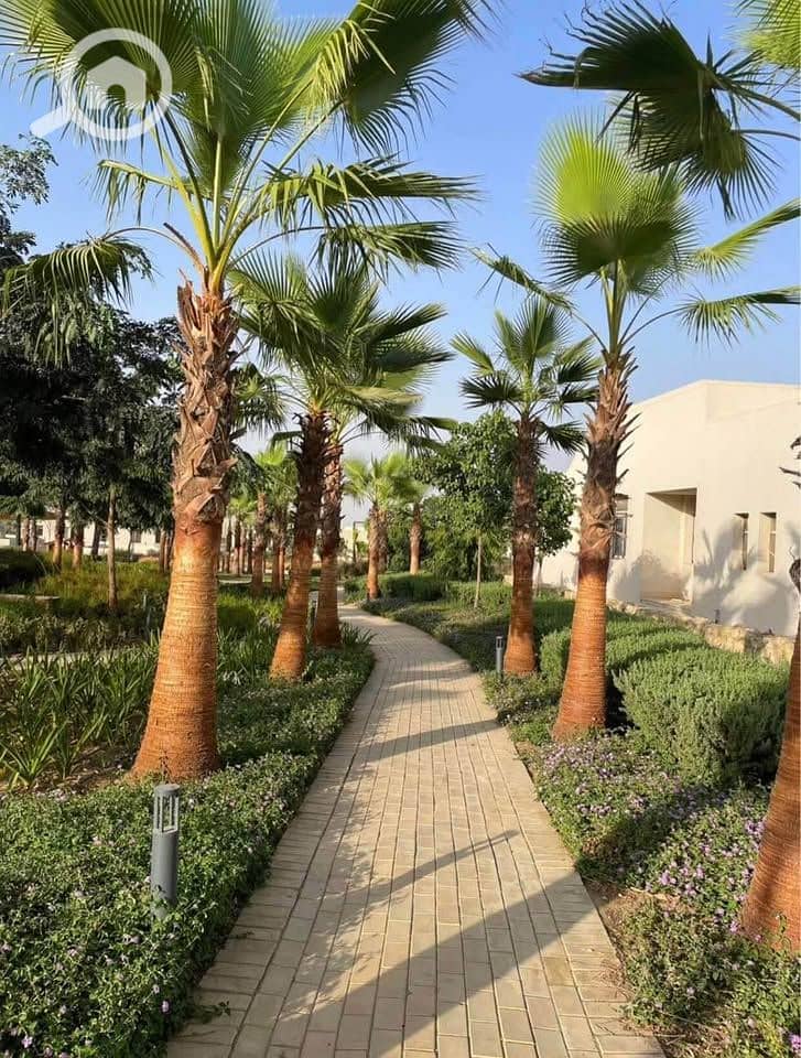 9 524981542_1180386117461485_2144514638248112755_n. jpg