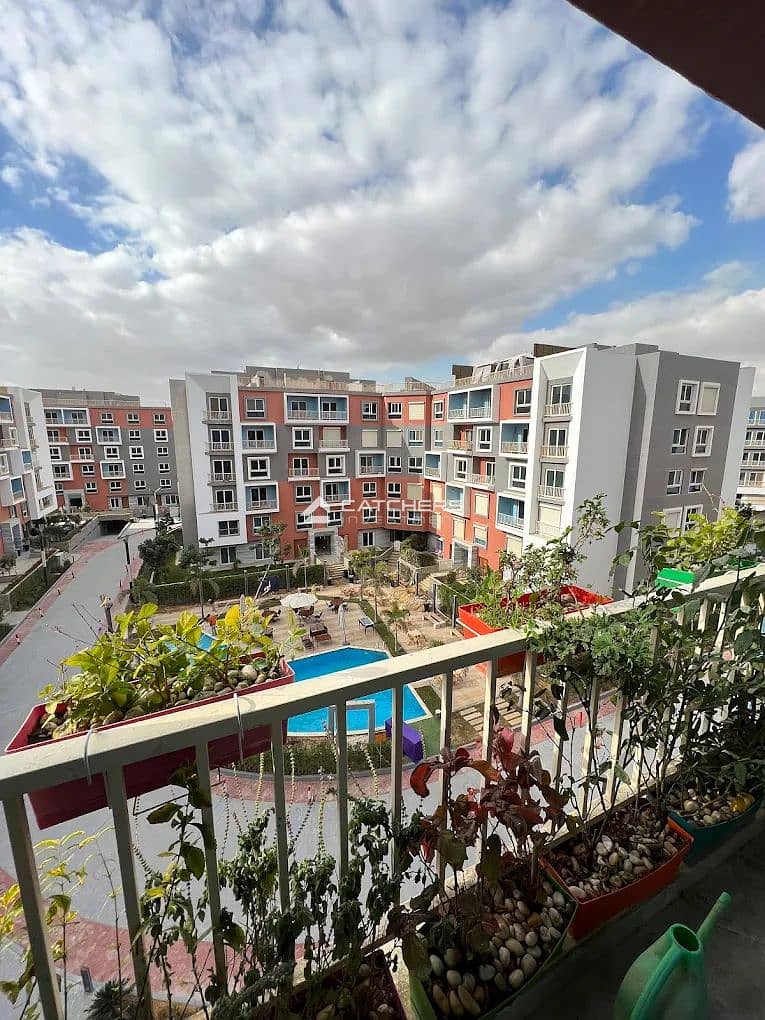 IMG_9493. jpg IMG_9493. jpg