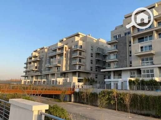 2 WhatsApp Image 2025-12-01 at 4.46. 19 PM (2). jpeg