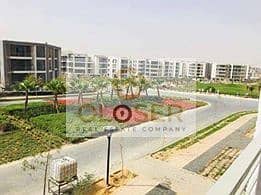 3 41591314_718028988556915_7507770994262540288_n. jpg