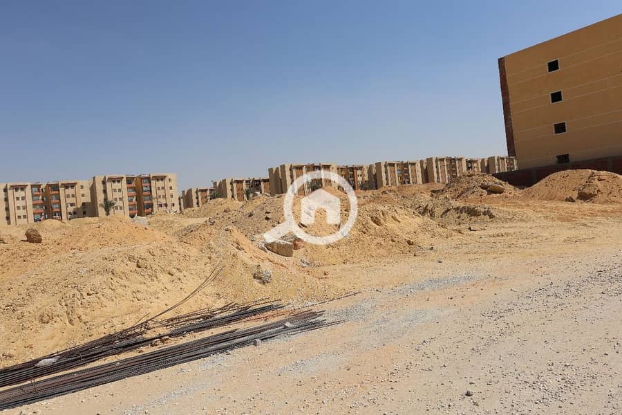 12 WhatsApp Image 2025-11-27 at 11.43. 36_e3df5ce8. jpg