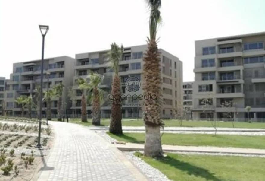 5 149c8203-51d3-4feb-9106-05c6cf800a3e. jpg