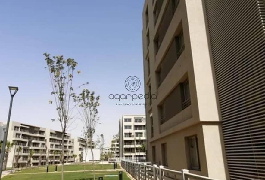 8 d8edddb4-9824-4d56-adee-e22758127022. jpg