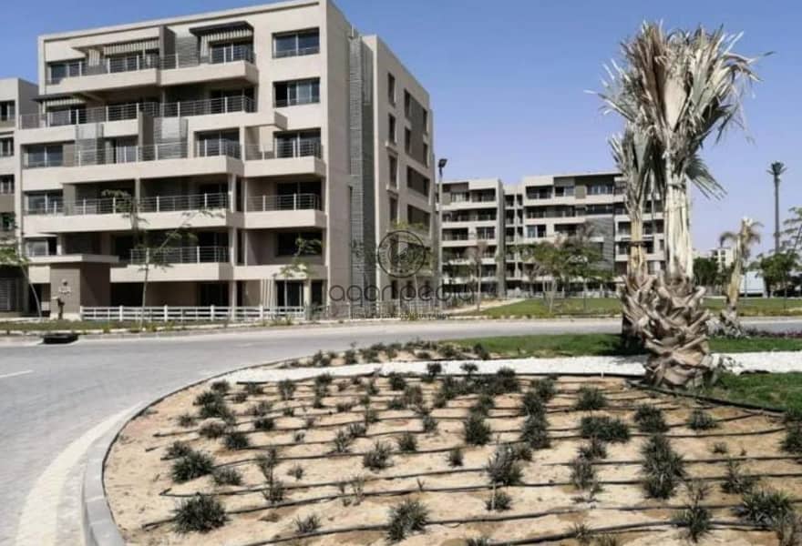 9 d940c183-3a9f-414c-9d76-a580f94196c1. jpg