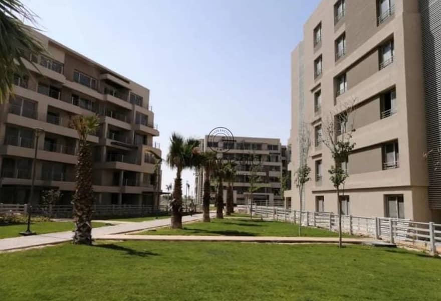 10 d84476cd-49ee-4dec-b8c5-3ca25fc9b2b5. jpg