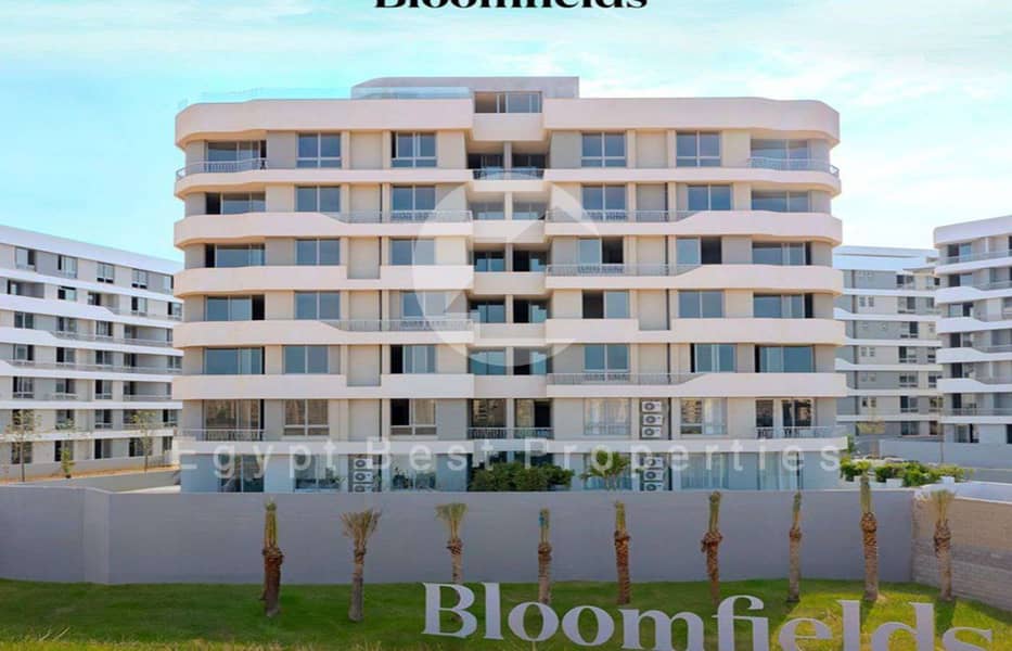 7 Screenshot 2024-08-01 121401. png