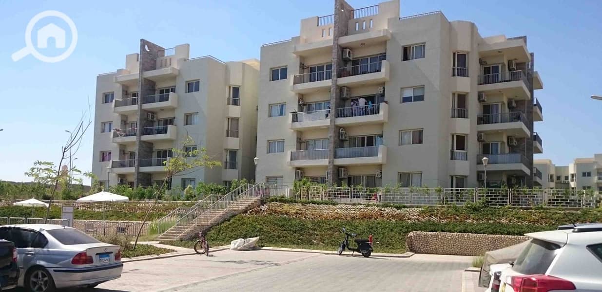 11 WhatsApp Image 2025-01-06 at 3.34. 22 PM (3). jpeg