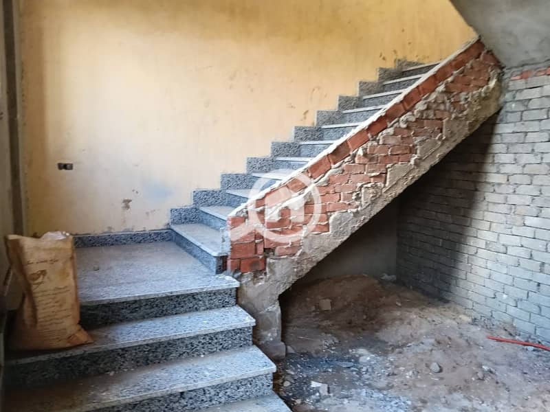 1000078011. jpg 1000078011. jpg