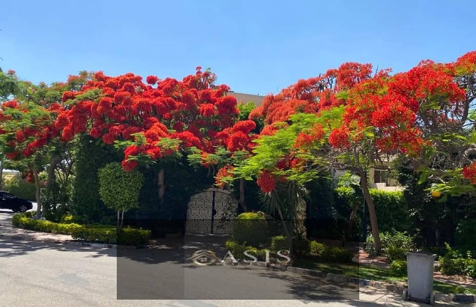 10 8093671-9e432o. jpg