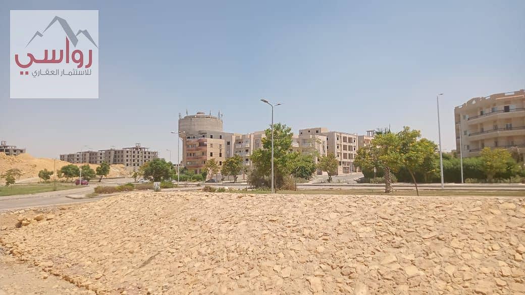 5 WhatsApp Image 2025-09-03 at 4.01. 43 PM. jpeg