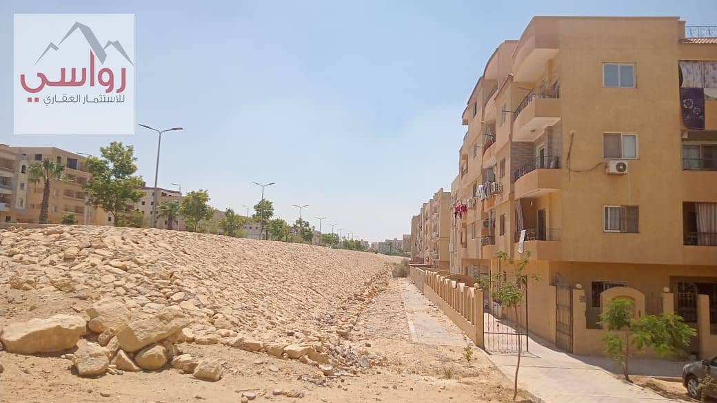 6 WhatsApp Image 2025-09-03 at 4.01. 44 PM (1). jpeg