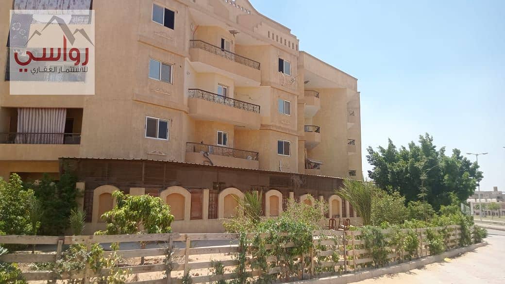 10 WhatsApp Image 2025-09-03 at 4.01. 45 PM. jpeg