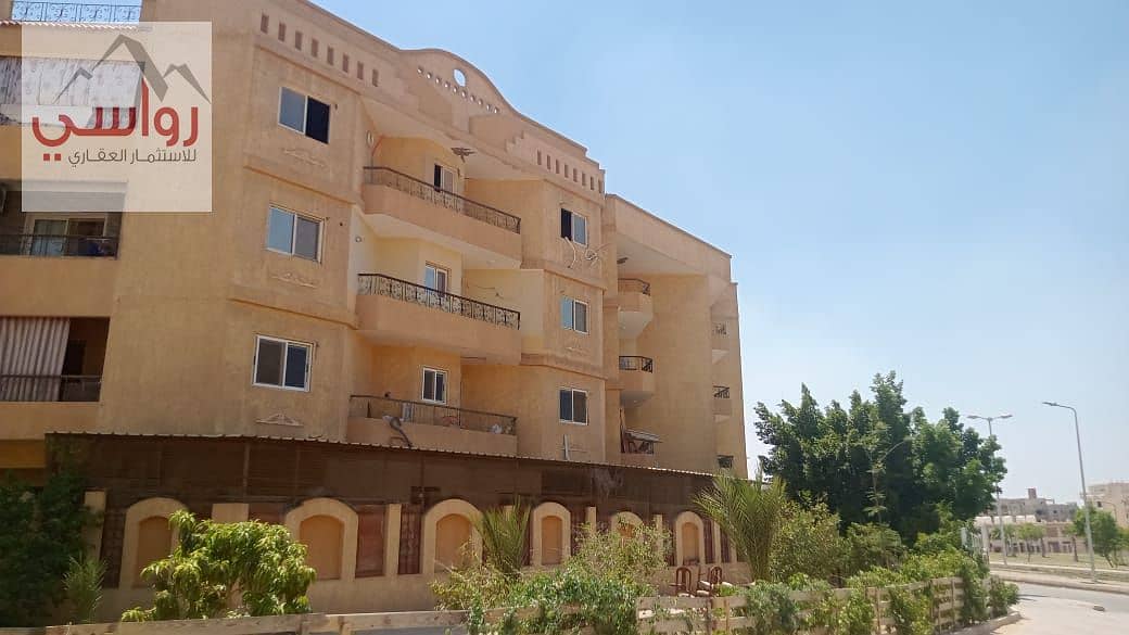 12 WhatsApp Image 2025-09-03 at 4.01. 46 PM. jpeg