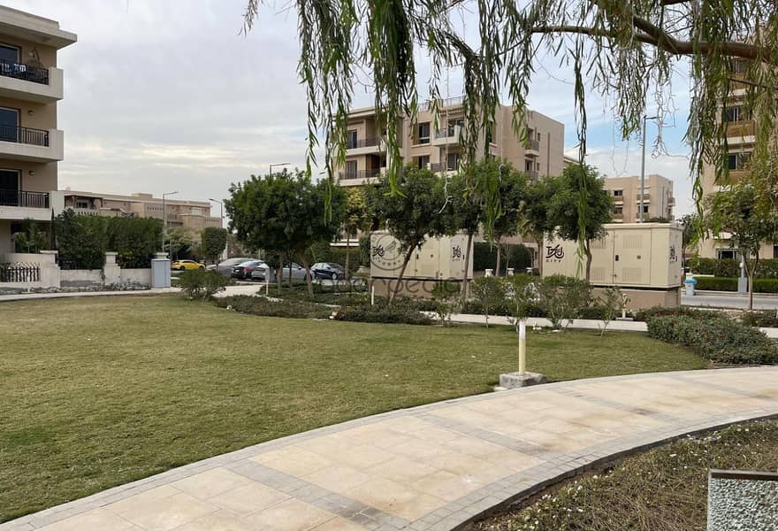 4 63bff5d2-84f4-40c6-91a5-2251e804a249. jpg