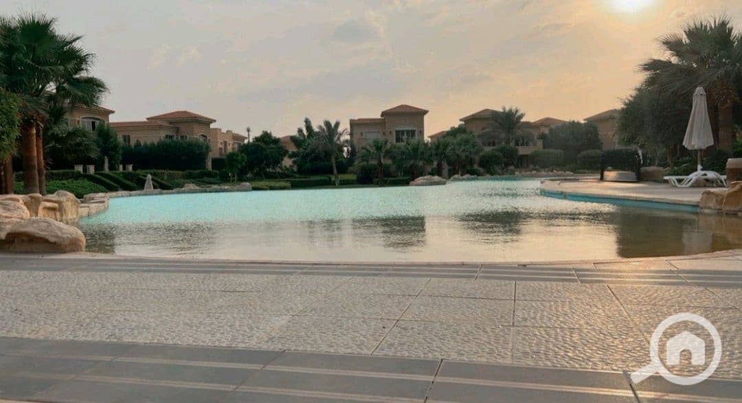 8 069d7a15-0c2c-43ee-97a3-3f37507e6208. jpg