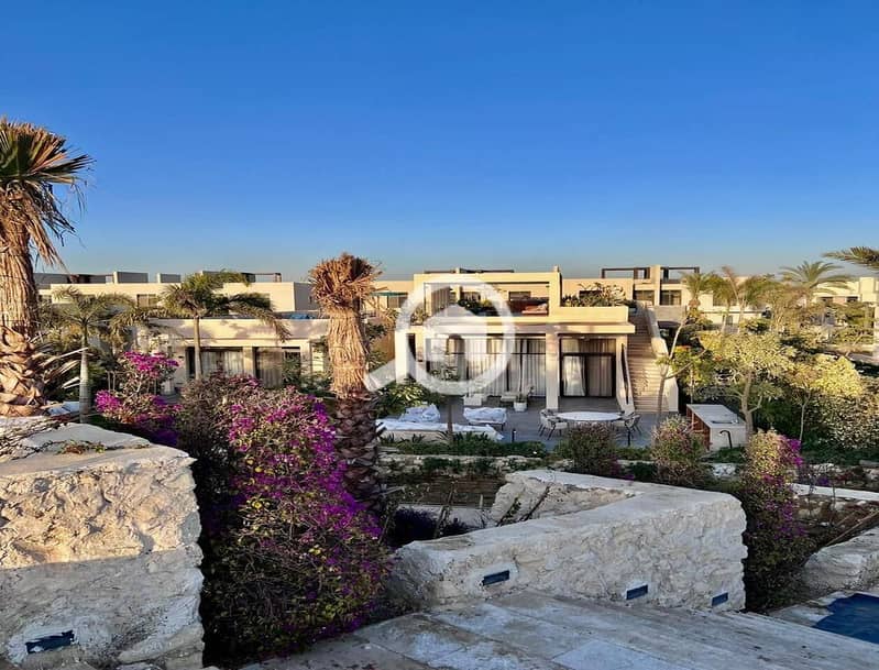 14 WhatsApp Image 2024-11-03 at 17.57. 28_3039f02a. jpg