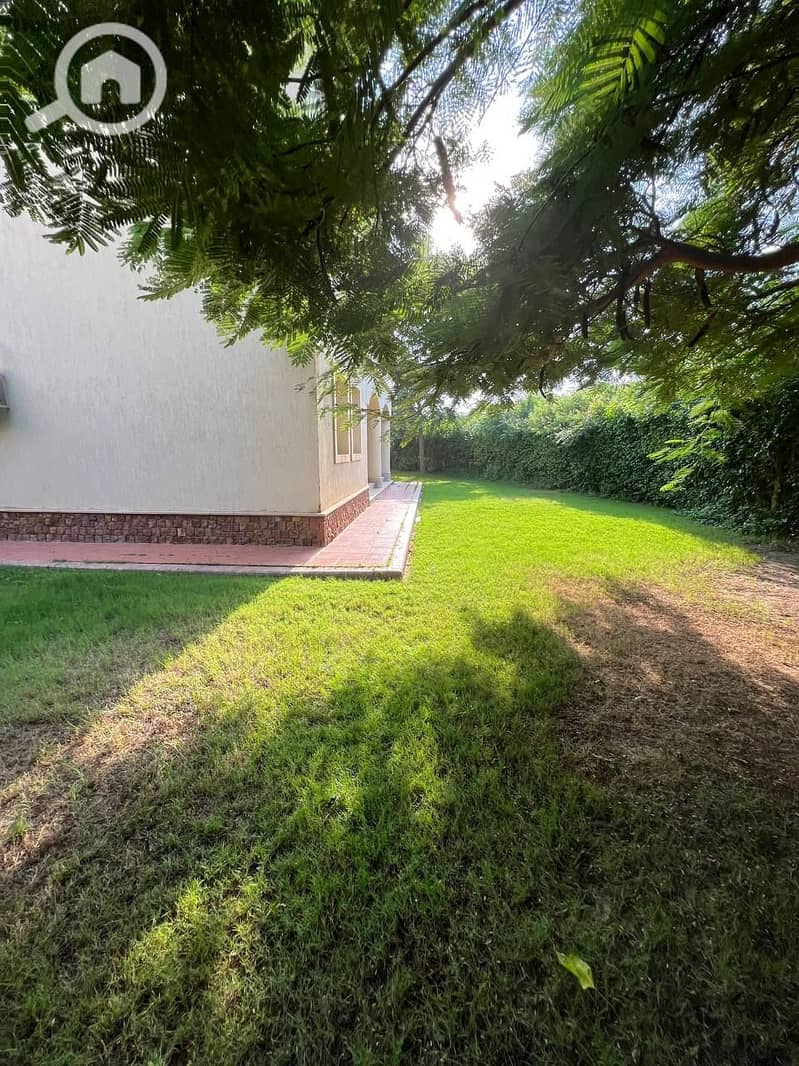 11 b53a8542-3ebb-471a-8002-b9da92c6466b. jpg