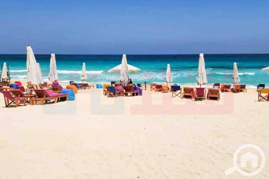 3 WhatsApp Image 2024-12-21 at 13.34. 25_2c7e30e4. jpg