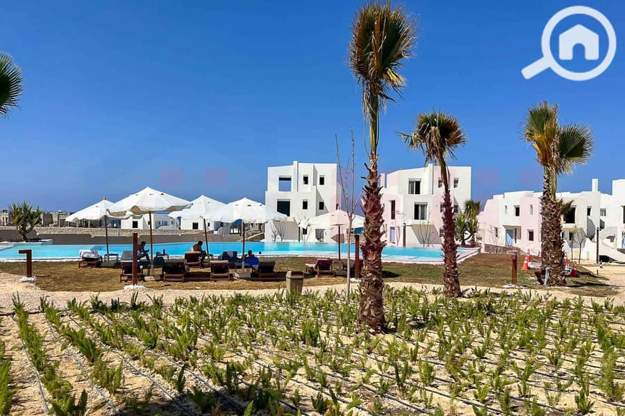 21 WhatsApp Image 2025-05-03 at 5.08. 11 PM (4). jpg