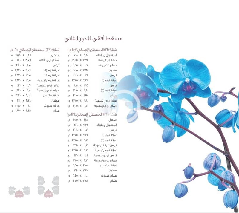 11 WhatsApp Image 2025-08-19 at 1.59. 10 PM (1). jpeg