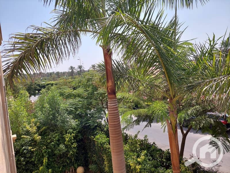 4 366838308_3099576130337179_6654447498431257199_n. jpg