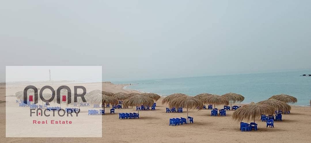 5 WhatsApp Image 2025-12-01 at 4.31. 21 PM (1). jpeg