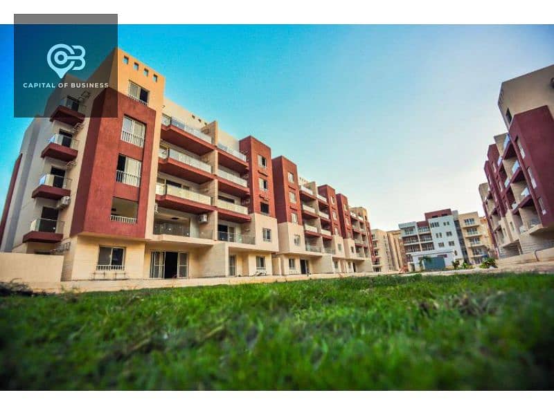 5 365ea022-3f51-4fcf-84ba-cc39b474f73d. jpg