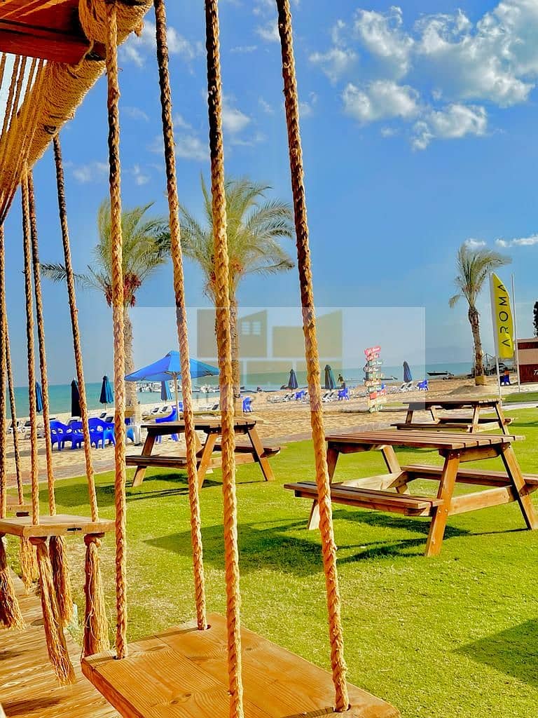 26 WhatsApp Image 2025-08-10 at 16.05. 29_09cd6b67. jpg