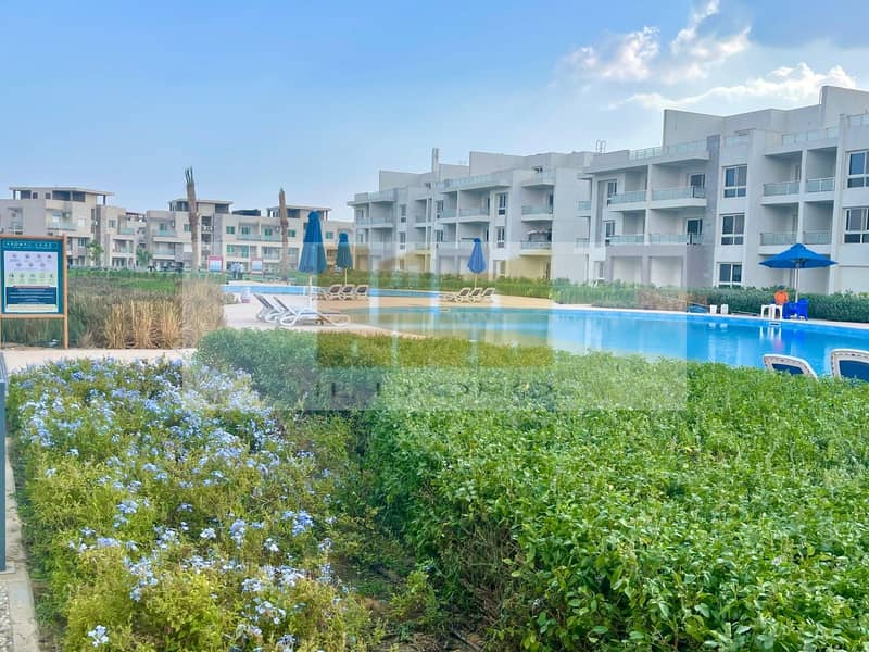 27 WhatsApp Image 2025-08-10 at 16.05. 29_be7d22a0. jpg