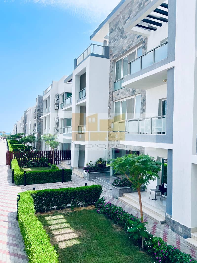 30 WhatsApp Image 2025-08-10 at 16.05. 36_53fe27d5. jpg