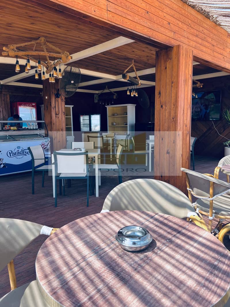 31 WhatsApp Image 2025-08-10 at 16.05. 36_e31f916e. jpg