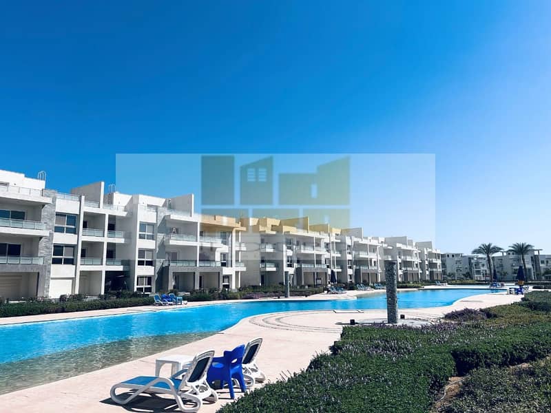 39 WhatsApp Image 2025-08-10 at 16.05. 39_ff41e036. jpg