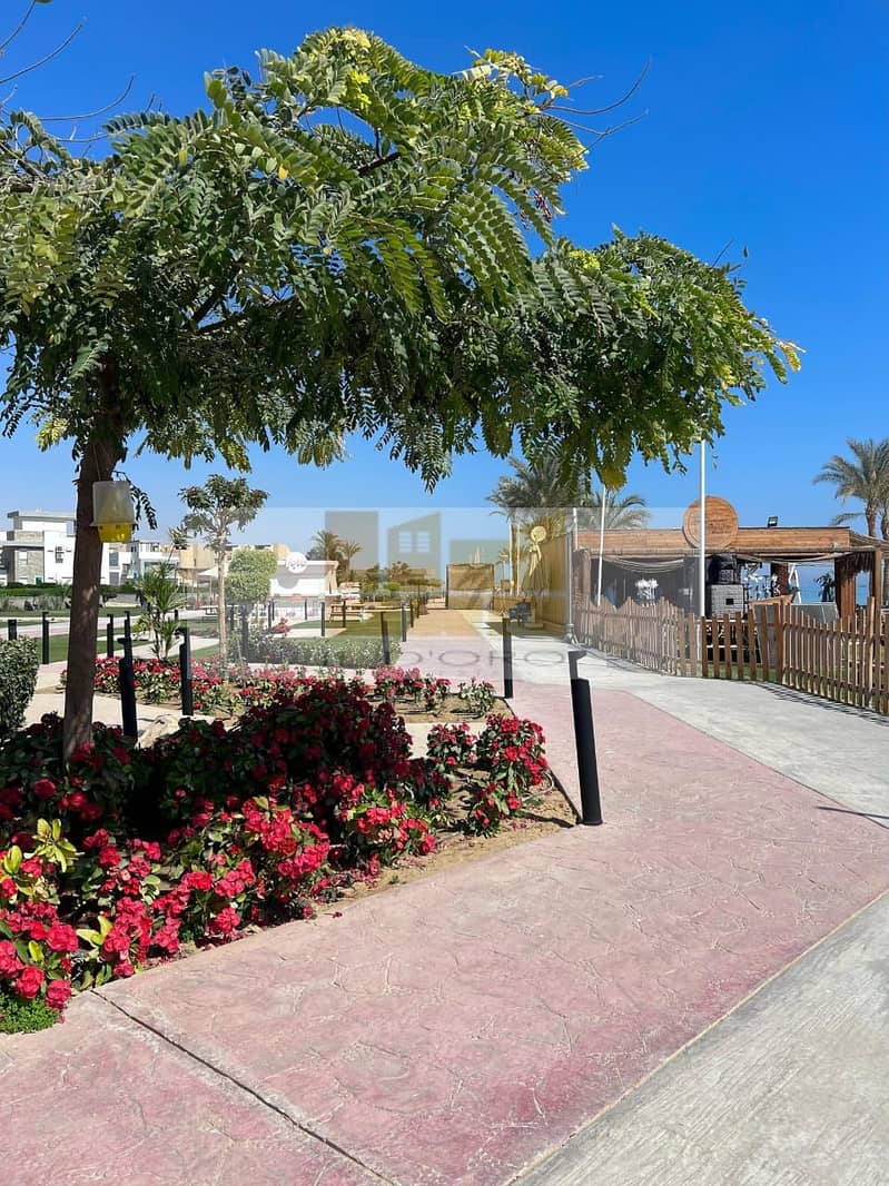 42 WhatsApp Image 2025-08-10 at 16.05. 40_48c7c999. jpg