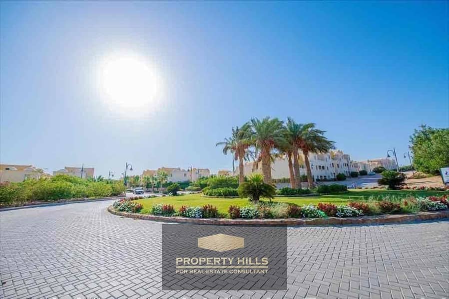 14 37afed35-a3a1-4464-87e7-69281dcc7592. jpg